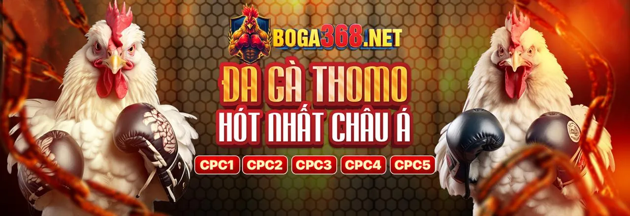 Đá Gà Trực Tiếp gacam67a win